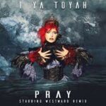 I Ya Toyah  – Pray (Stabbing Westward Remix)