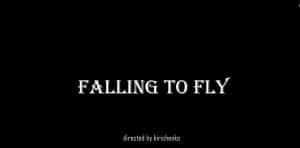 DARK PRINCESS - FALLING TO FLY