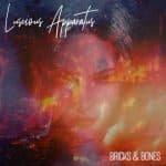 Luscious Apparatus – Bricks & Bones (Release/Review)