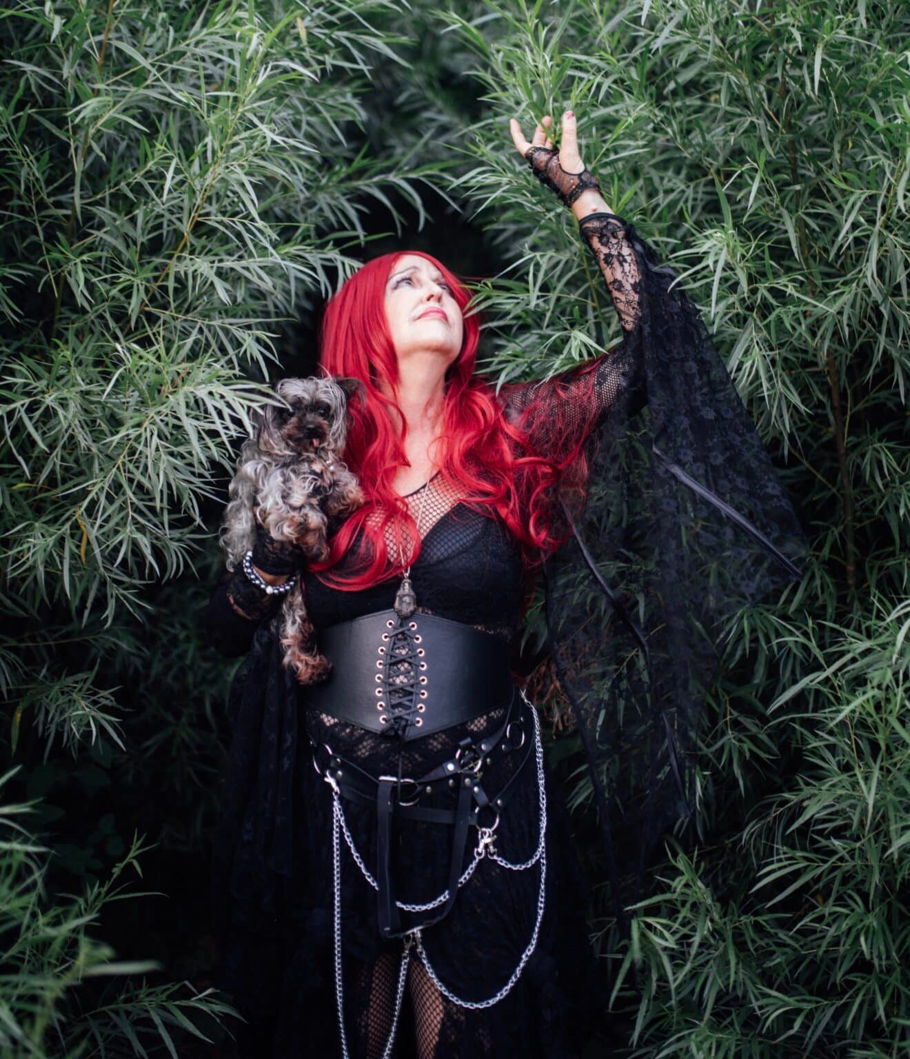 Metamorph ‘Haunted Hearts XIII’ (Album)
