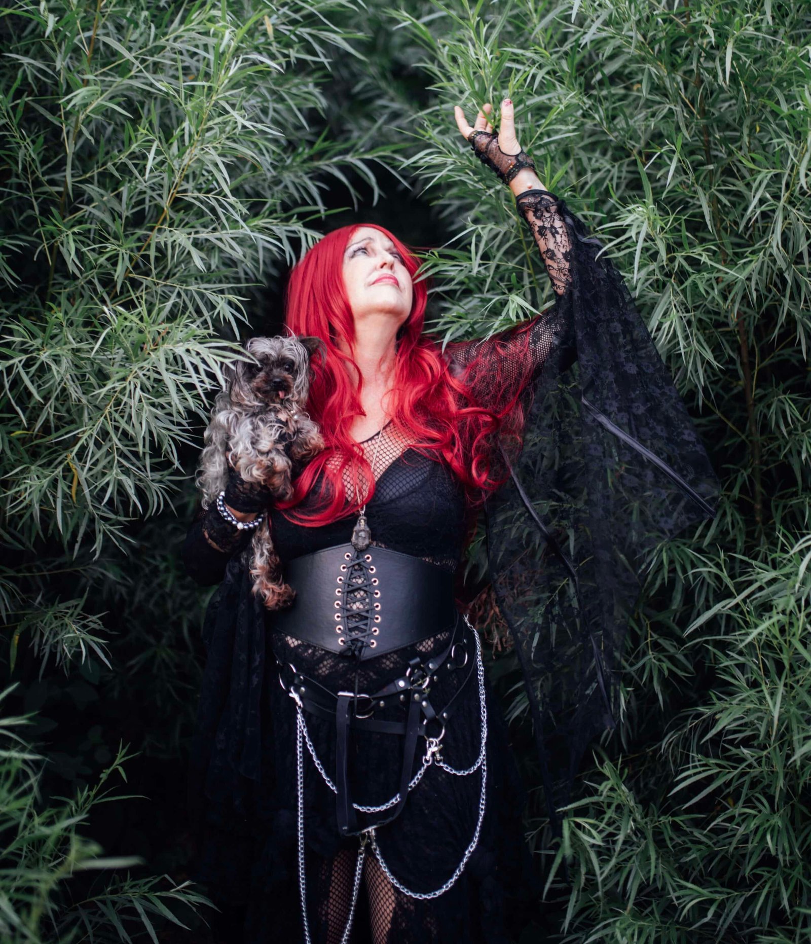 Metamorph ‘Haunted Hearts XIII’ (Album)