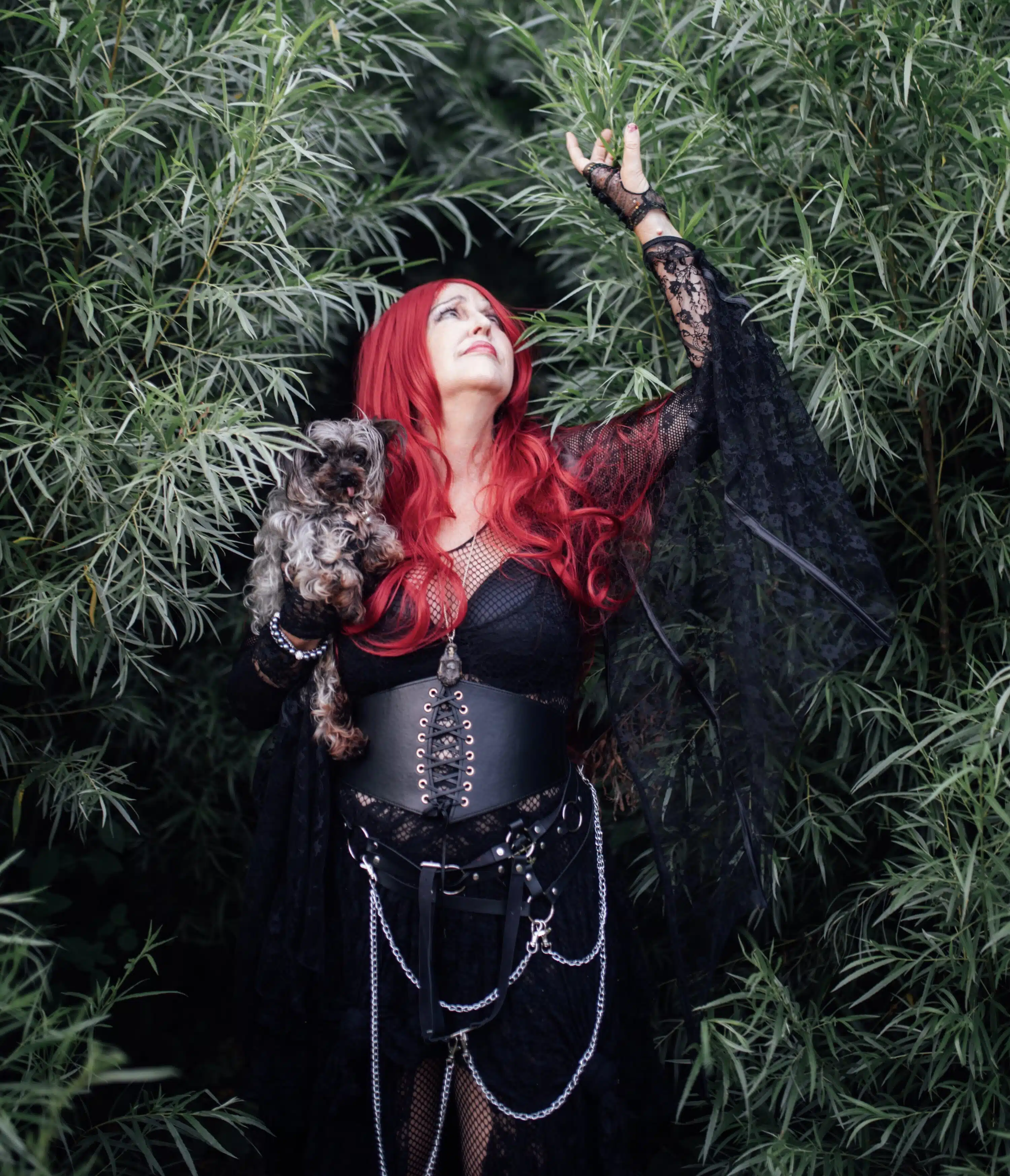 Metamorph ‘Haunted Hearts XIII’ (Album)