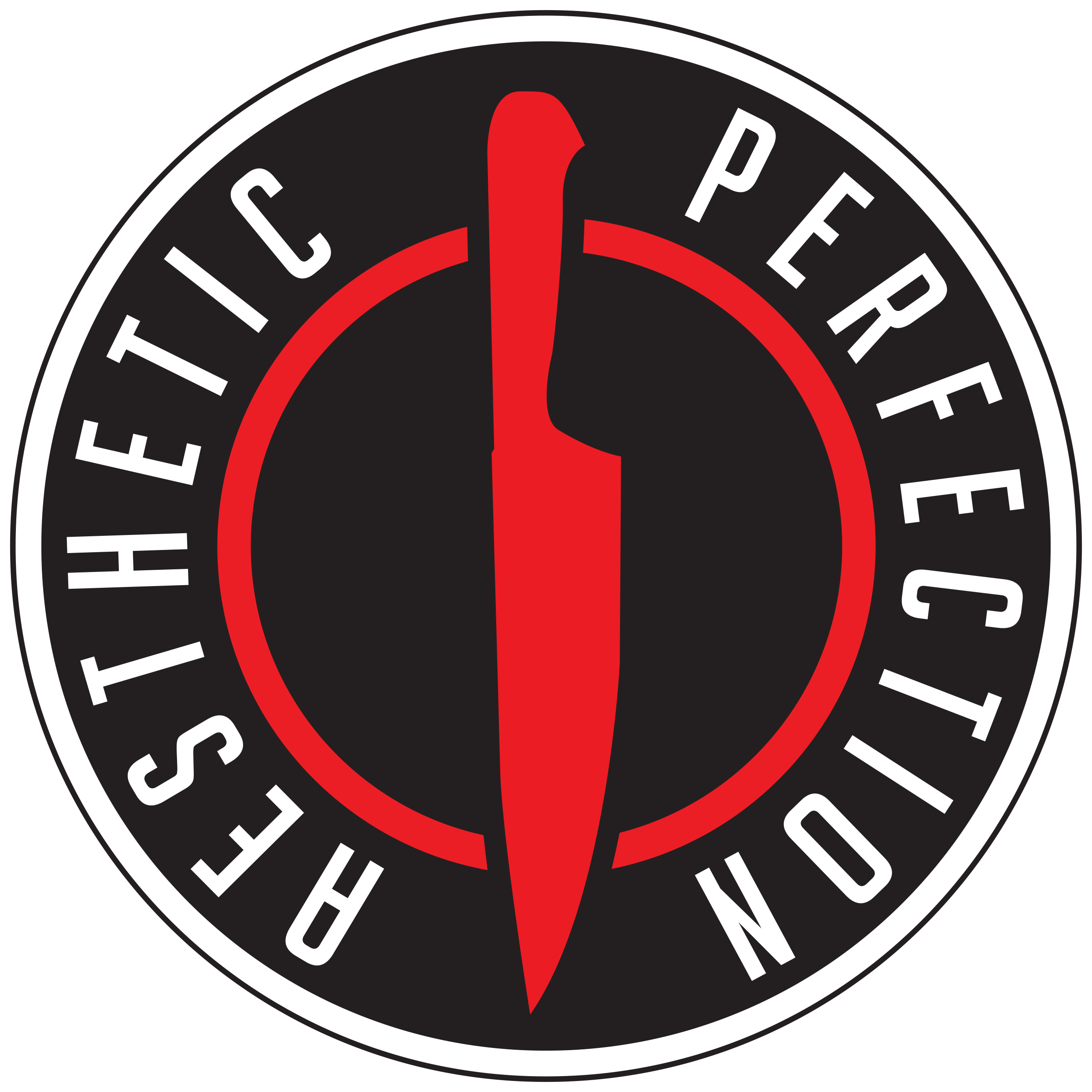 A circular black logo with a red knife in the centre, surrounded by the words "Aesthetic Perfection" in white capital letters.